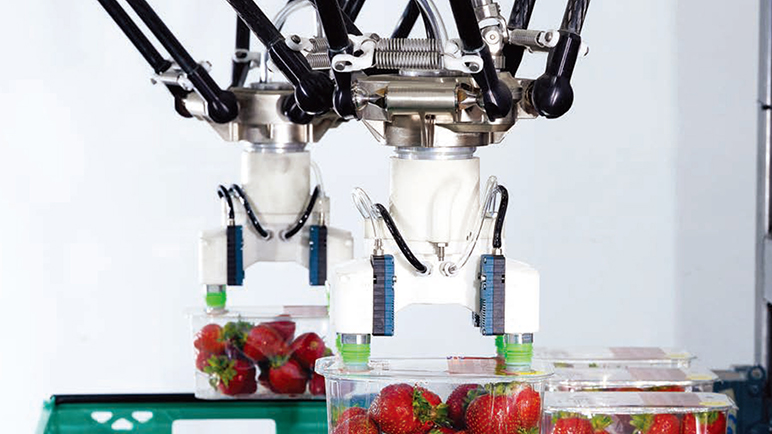 华体会(中国)华体会注册助力果盒包装实现更高的生产效率和成本效益